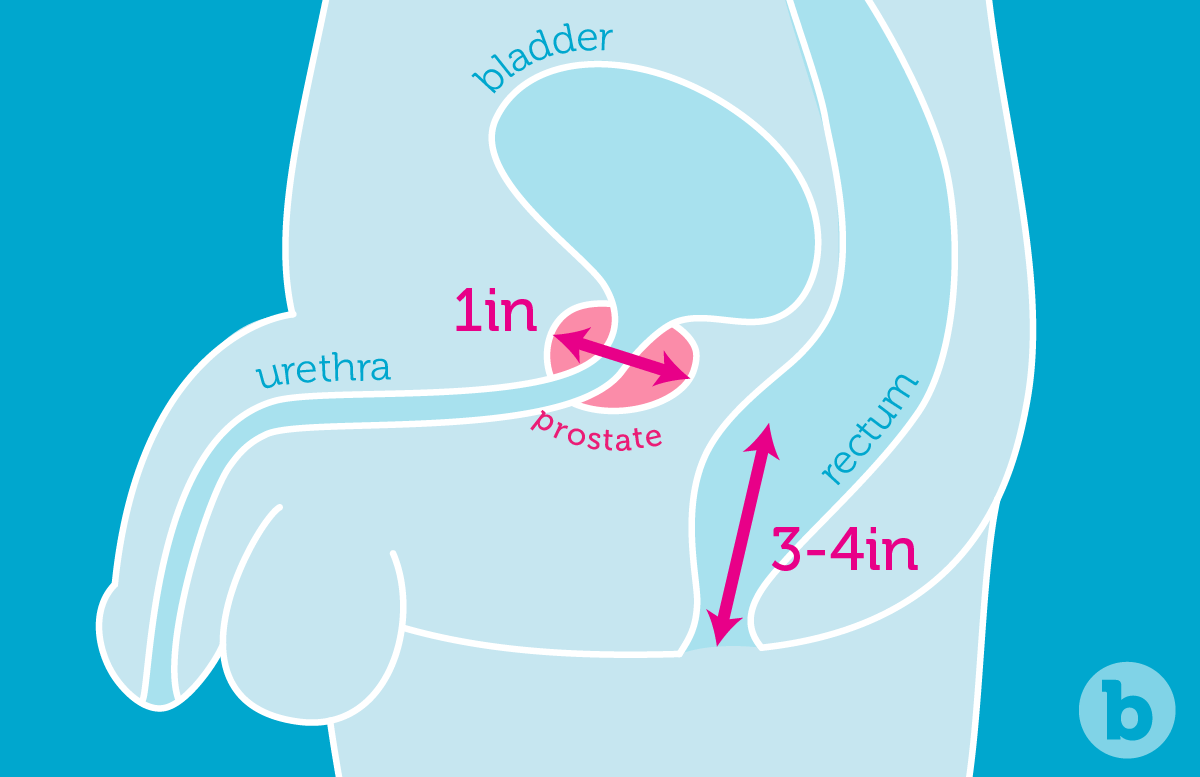 Prostate Massage How To Have A Prostate Orgasm B Vibe