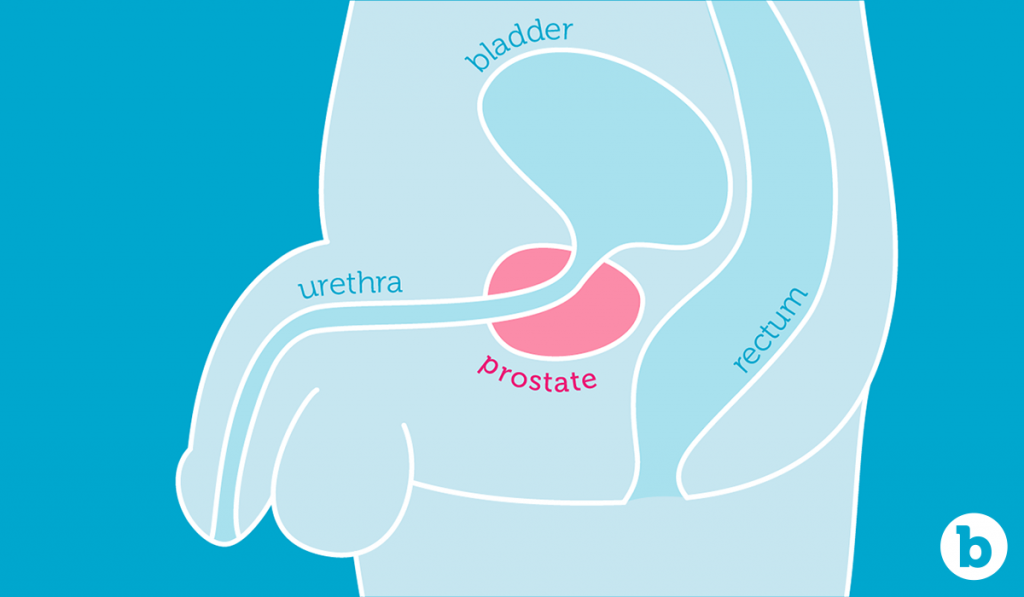 Prostate play 101: A beginners guide to prostate pleasure