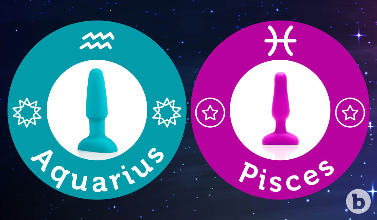 If the Aquarius zodiac sign were a b-Vibe it would be the Rimming Plug and Pisces would be the Novice Plug