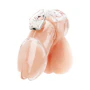 Blue Line Men Acrylic See Thru Chastity Cock Cage with Lock