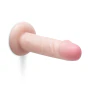 6 Inch Realistic Dildo with Suction Cup
