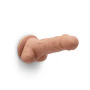 6 Inch Realistic Dildo with Suction Cup