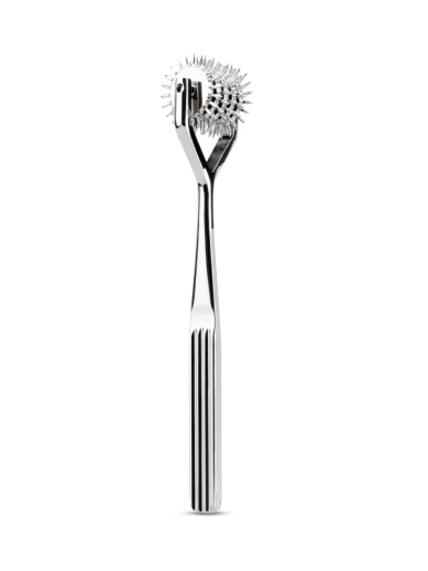 wartenberg pinwheel 5 wheel 