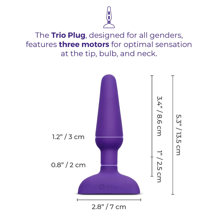 plug anal 3 Pink Gem Glass Anal Plug Set