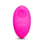 Le Wand Remote Egg Vibe