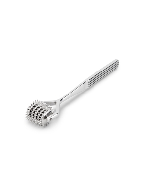 wartenberg pinwheel 5 wheel 