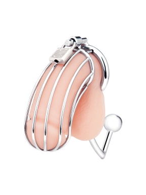stainless steel cock cage with anal stimulator