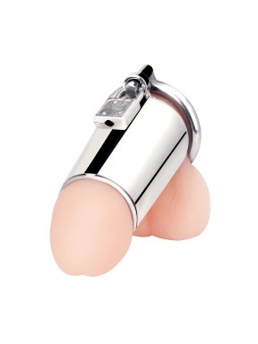 ultimate cock tease stainless steel cock cage