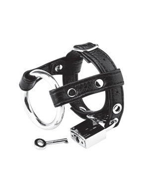 Duo Cock And Ball Ring With Lock