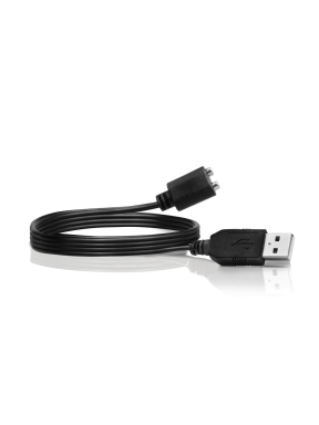 Butties Anal Training Bundle USB Charging Cable