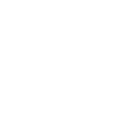 icon Weighted Butt Plug