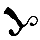 icon Anal-Friendly Tapered Base