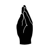 icon Lifelike Anatomical Detail