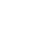 icon USB-C Rechargeable