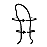 icon Rotating Bulbuos Head