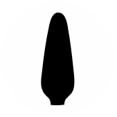 icon Tapered Tip