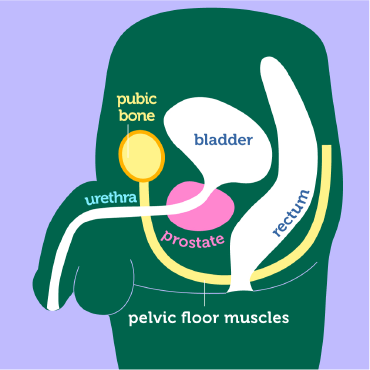 Tighten your pelvic floor