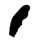 icon Angled Bulbuos Head